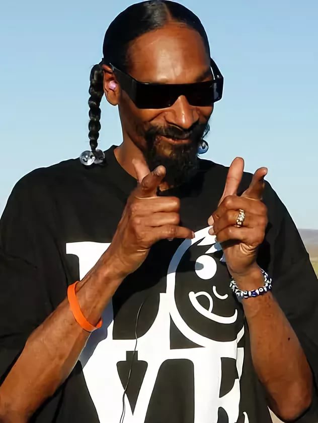 Snoop Dog (мой движ) НГ
