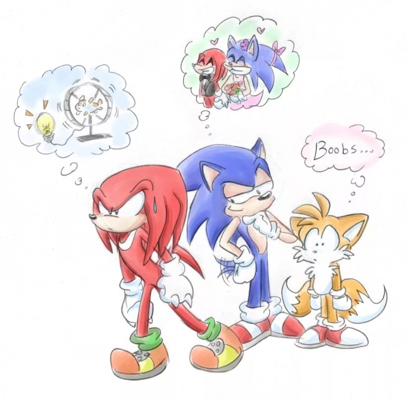 ''Sonic The Hedgehog and Teils The Fox'' - Супергерой Соник