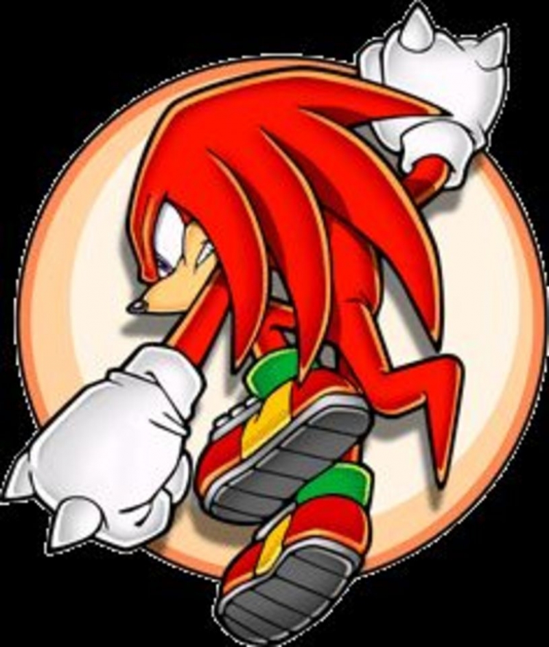 Sonic The Hedgehog - Unknown from M.E. Knuckles