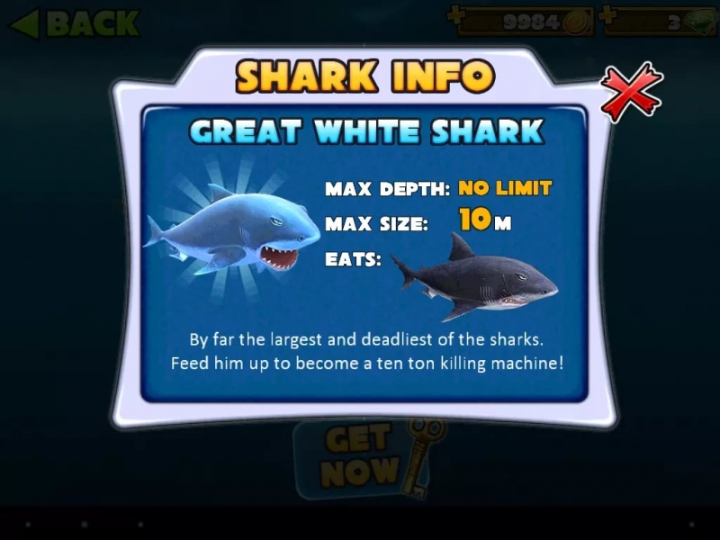 Soul - Shark Evolution