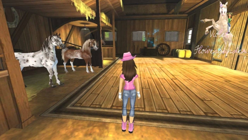 Star Stable Online - Home stables