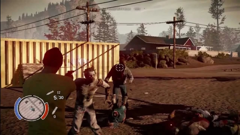 State of Decay - Translated Souls