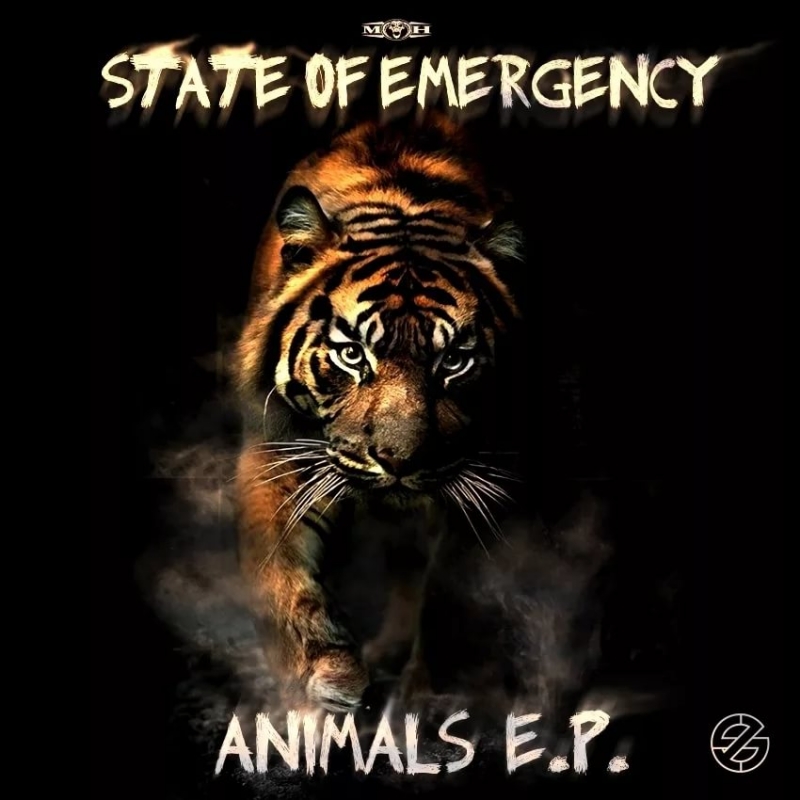 State Of Emergency - Breaking The Rules