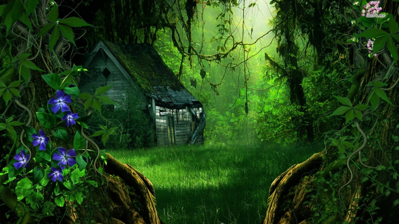 Teo Darkwood - Загадочный дом