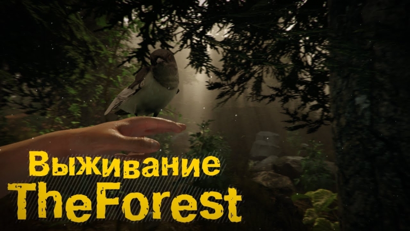The Forest 2014 - Музыка из плеера в игре The Forest 1