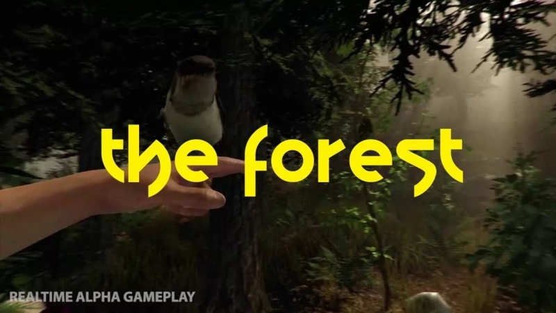 Музыка из плеера в игре The Forest 3