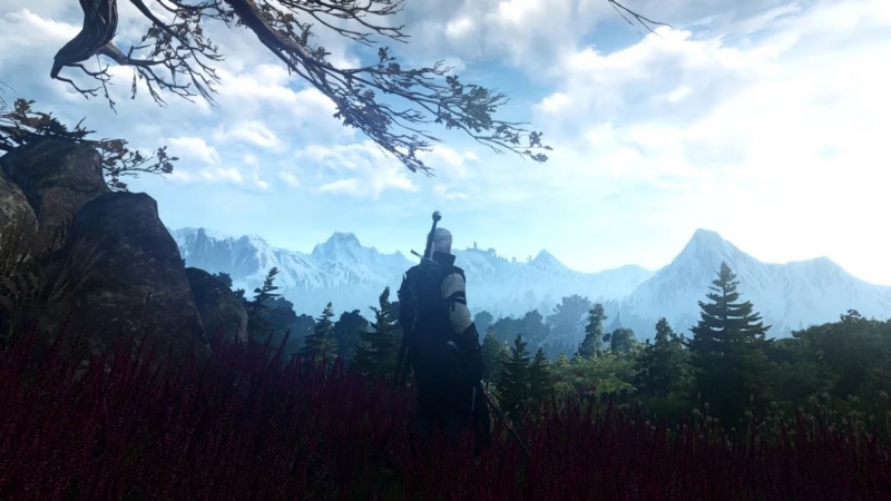 The Witcher 3 Wild Hunt - Skellige Ambient
