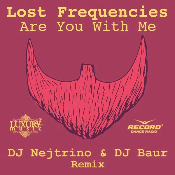 Are You With Me DJ Nejtrino & DJ Baur Radio Mix