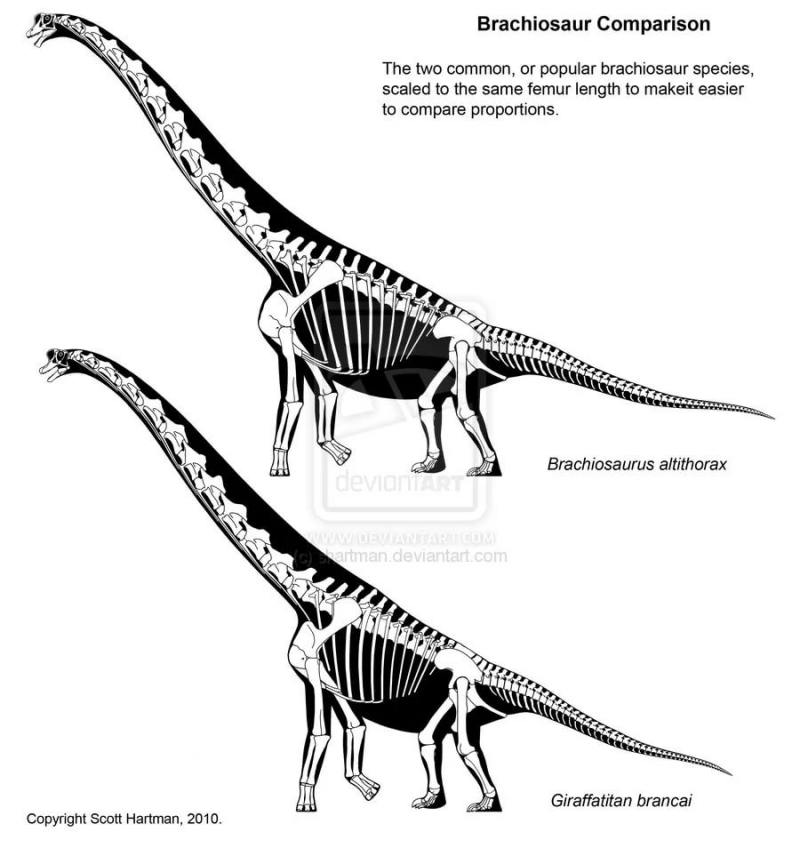 Управление пахиозавром