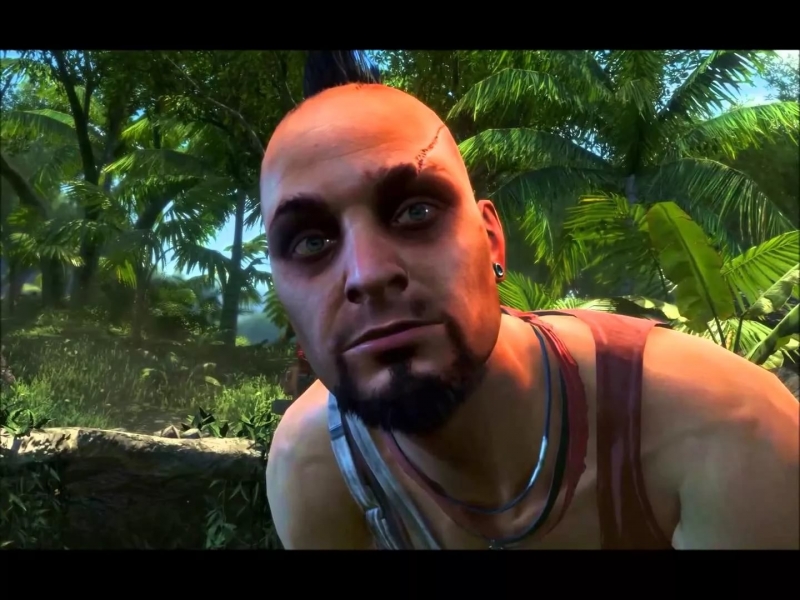 Vaas Montenegro (Far Cry 3) - О безумии Did I ever tell you the definition of "Insanity"? 