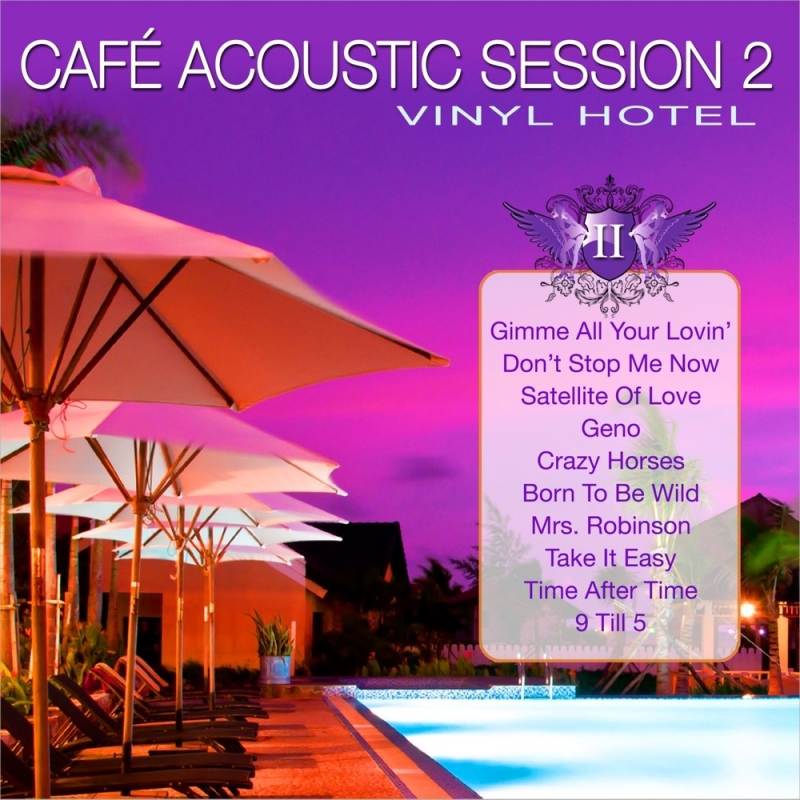 Vinyl Hotel - Paradise City Acoustic Version