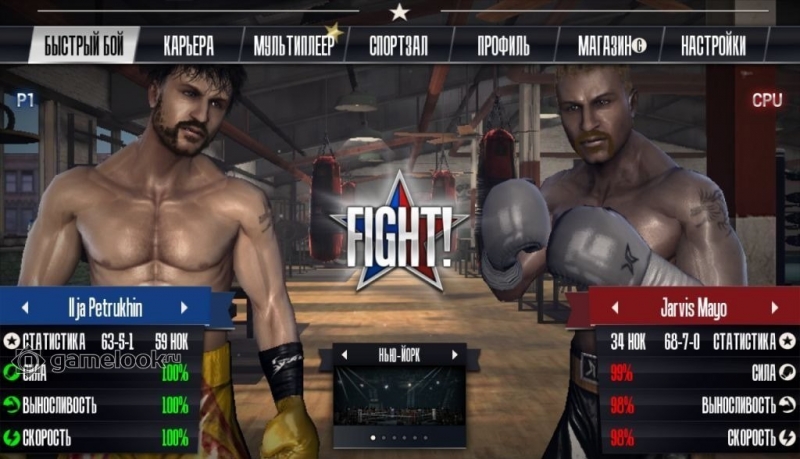 Vivid Games - Real Boxing