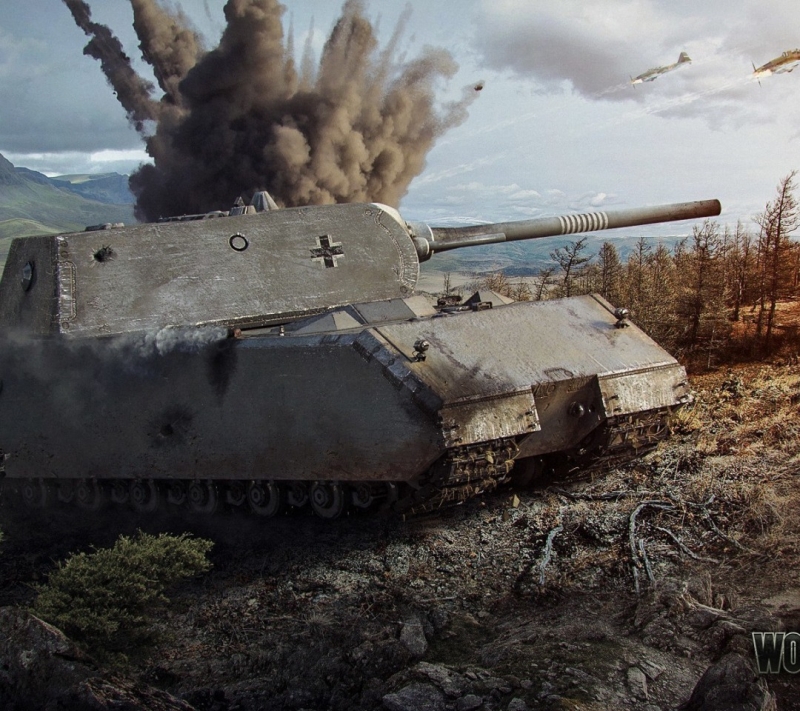 Это Maus