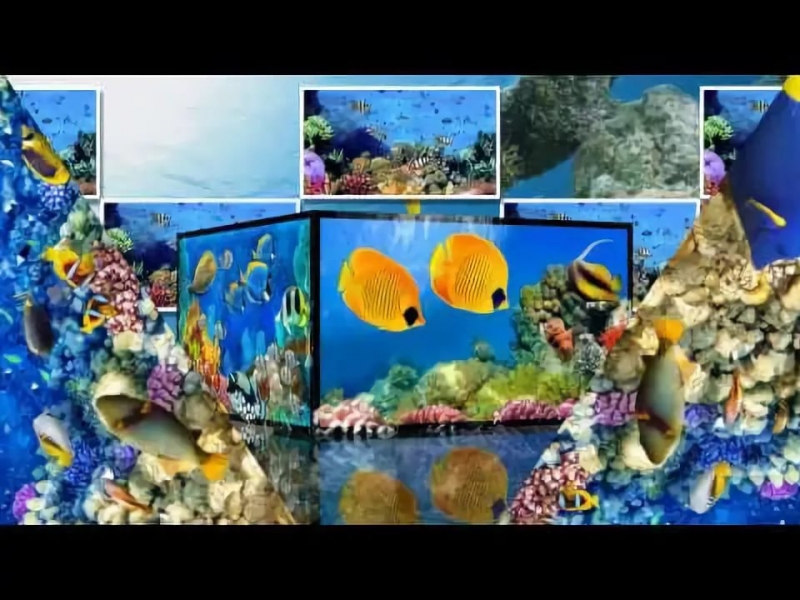 Звуки природы - Подводный мир